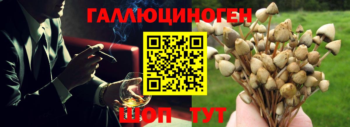 Галлюциногенные грибы прущие грибы Белогорск